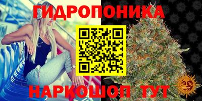 дживик Дубна