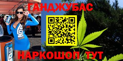 гашик Гусев