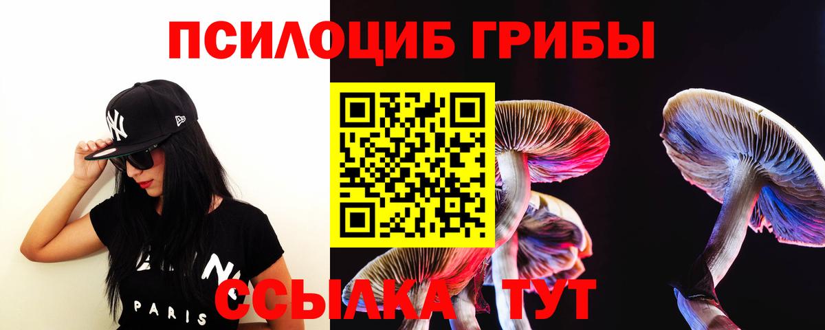 Псилоцибиновые грибы мухоморы Комсомольск-на-Амуре